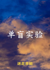 单盲双盲什么意思
